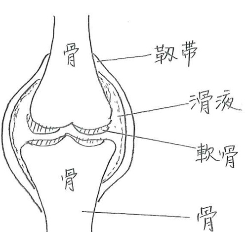 女性の更年期と膝関節