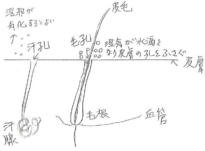 日本の夏は高温多湿 （湿気にご用心）