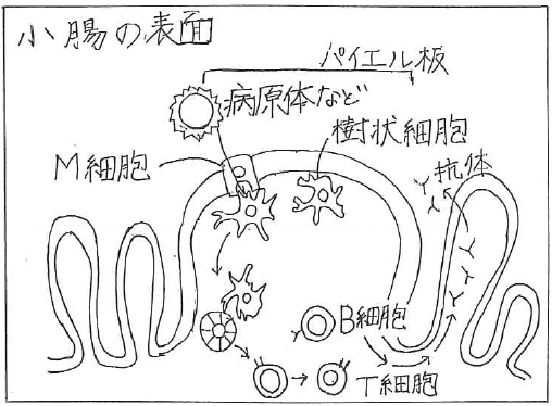 風邪の前ブレ症状 ― 長引いてませんか? ―