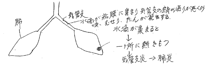 秋の正気は燥なのに湿気が多い 気管支炎 ・ 肺炎 ・ 激しい咳 ・・・ ご用心