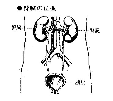 地球の水は汚れている → 体の水も汚れている