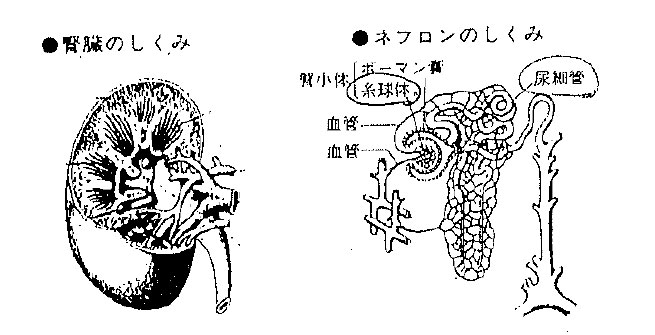 地球の水は汚れている → 体の水も汚れている