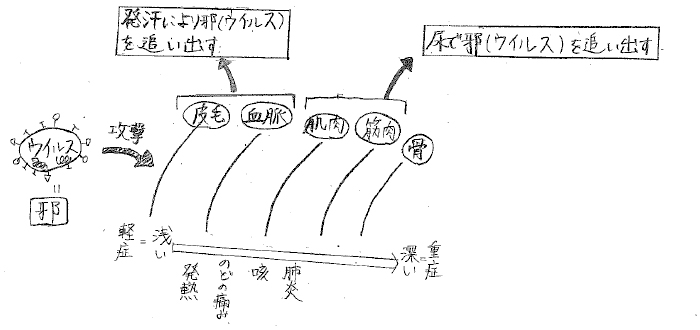 春の風邪対策 （コロナウイルス）