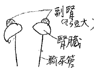 先が読めない時代 → 不安と緊張 （2004年健康予見より） について