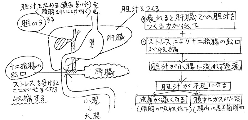 “フレッシャーの憂うつ